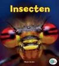 In de ROOS  -   Insecten