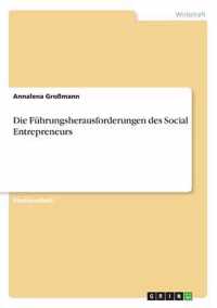 Die Fuhrungsherausforderungen des Social Entrepreneurs