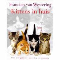 Kittens In Huis