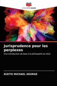 Jurisprudence pour les perplexes