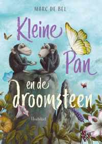 Kleine Pan en de droomsteen