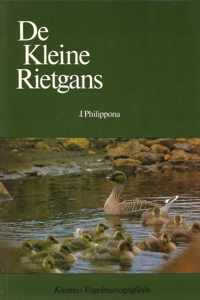 Kleine rietgans