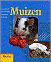 Muizen