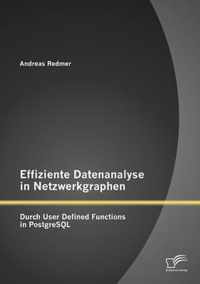 Effiziente Datenanalyse in Netzwerkgraphen