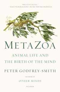 Metazoa