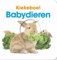 Kiekeboe  -   Babydieren