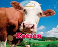 Vertel Maar  -   Koeien