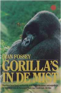 Gorilla's in de mist