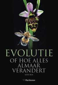 Evolutie of hoe alles almaar verandert