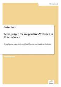 Bedingungen fur kooperatives Verhalten in Unternehmen