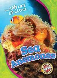 Sea Anemones