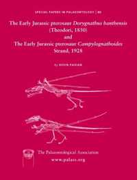 Early Jurassic pterosaur Dorygnathus banthensis (Theodori, 1830) and The Early Jurassic pterosaur Campylognathoides Strand, 1928