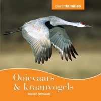 Dierenfamilies  -   Ooievaars & kraanvogels