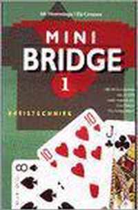 Minibridge