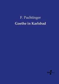 Goethe in Karlsbad