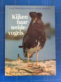 Kyken naar weidevogels