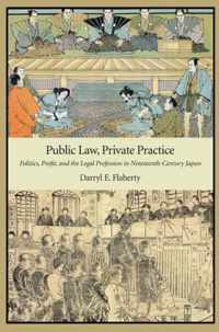 Public Law Private Practice