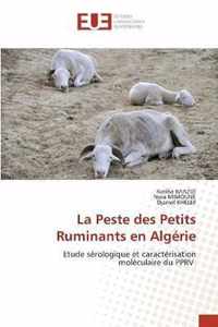 La Peste des Petits Ruminants en Algerie