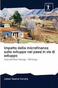 Impatto della microfinanza sullo sviluppo nei paesi in via di sviluppo