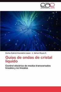 Guias de Ondas de Cristal Liquido