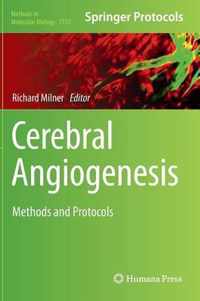 Cerebral Angiogenesis