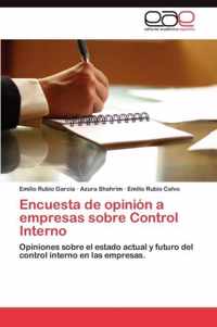 Encuesta de Opinion a Empresas Sobre Control Interno