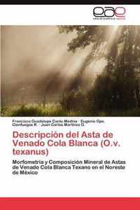 Descripcion del Asta de Venado Cola Blanca (O.v. texanus)