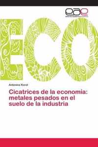 Cicatrices de la economia