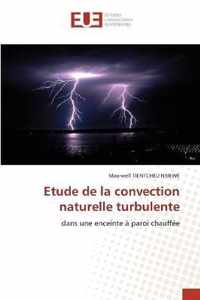 Etude de la convection naturelle turbulente