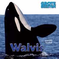 Grote Beesten  -   Walvis