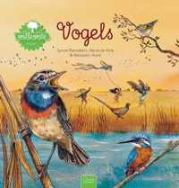 Willewete  -   Vogels