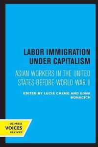 Labor Immigration under Capitalism