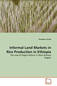 Informal Land Markets in Rice Production in Ethiopia