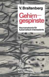 Gehirngespinste