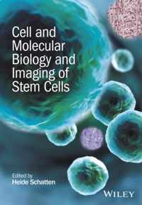 Cell and Molecular Biology and Imaging of Stem Cells