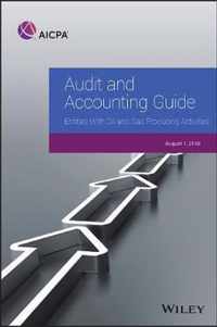 Audit and Accounting Guide