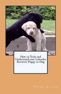 How to Train and Understand Your Labrador Retriever Puppy or Dog