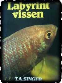 Labyrintvissen in het aquarium