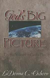 God's Big Picture