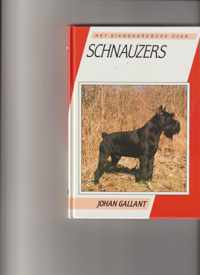 Schnauzers