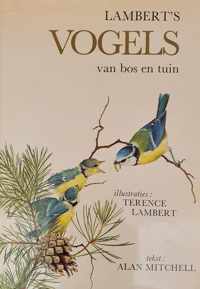 Lambert s vogels van bos en tuin