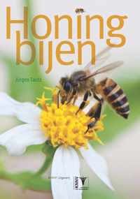 Honingbijen