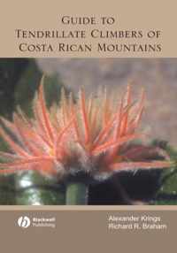 Guide To Tendrillate Climbers Of Costa Rican Mountains