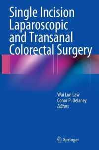 Single Incision Laparoscopic and Transanal Colorectal Surgery