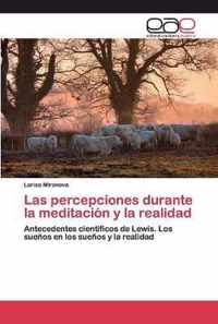 Las percepciones durante la meditacion y la realidad