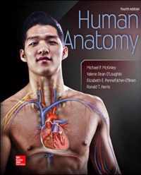 Human Anatomy