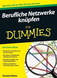 Berufliche Netzwerke Knupfen fur Dummies