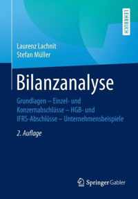 Bilanzanalyse