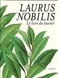 Laurus nobilis lelivree du laurier