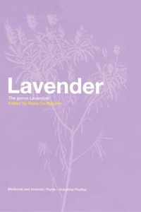 Lavender